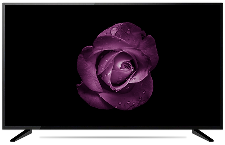 tb02.png