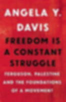 angela davis.jpeg