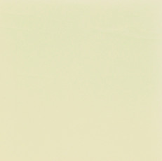 pearl.jpg