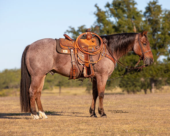 Upcoming Sale Consignments Mysite