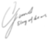 gsi.png