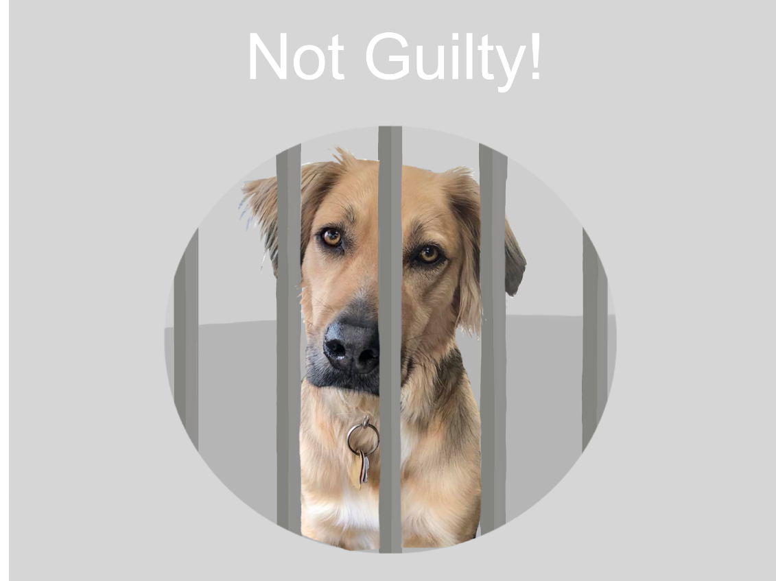 My dog ate my homework poem questions and answers image