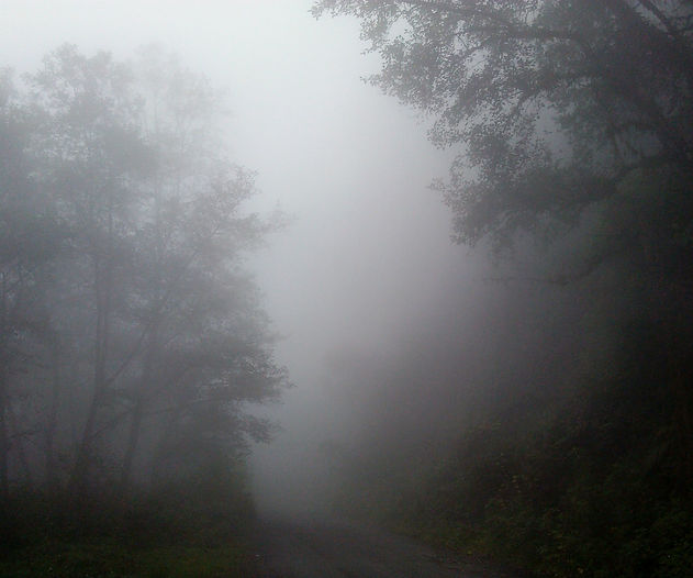 Fog