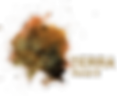 terra copie.png