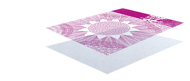 Ricoh-acabado-brillo-4.png