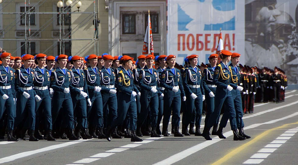 Заказать Свитер Женский С Доставкой