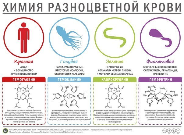 При Первом Сексе Бывает Кровь