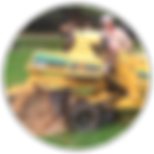 Auckland tree cutting, tree surgery, hedges, mulching, stump removal, garden rubbish, mulch services