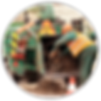 Auckland tree cutting, tree surgery, hedges, mulching, stump removal, garden rubbish, mulch services