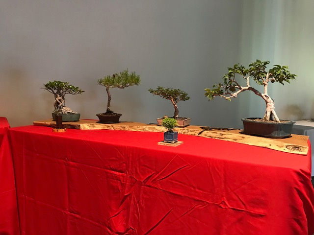 Japan-American Festival 2017