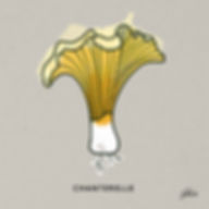 illustration heeler graphic design squamish vancouve freelance logo website