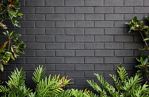 black-brick-wall-with-a-natural-green-foliage-bord-2021-08-30-06-37-42-utc.jpg