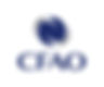 Logo CFAO.jpg