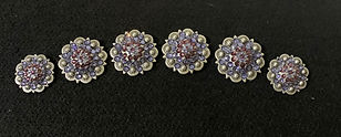 conchos1.jpg
