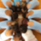 54266427_128791438256610_918369160326452