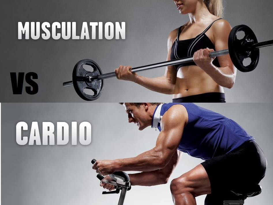 Pour maigrir : cardio ou musculation? | Coach sportif à Pour maigrir : cardio ou musculation? | Coach sportif à