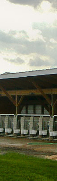 Sturdy Built Calf Barns