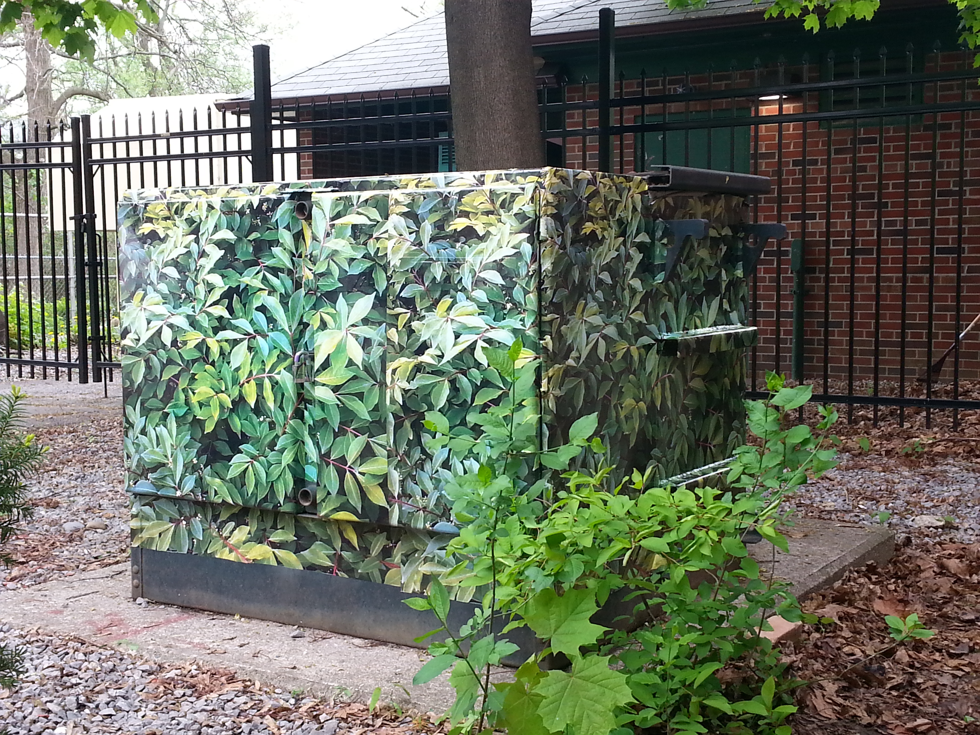 PRINT VINYL WRAP Toronto Wall Graphics Signs and Decals Csvinyls