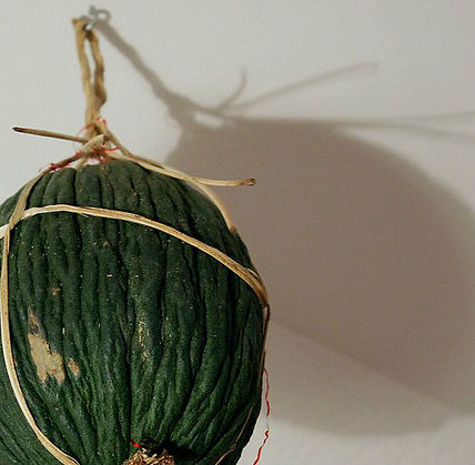melone purceddu