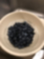 IMG_3129.jpeg