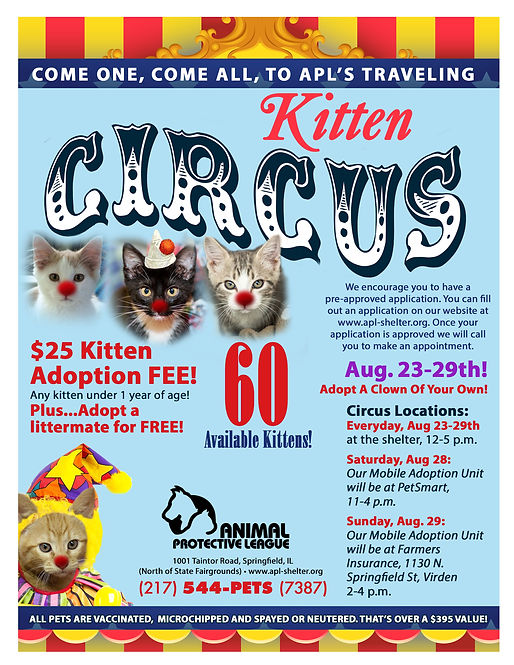 2021 Kitten Circus Flyer.jpg