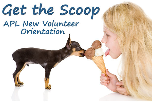 nvo WEBSITE.jpg