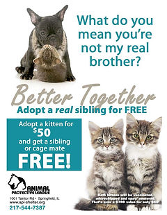 Better Together Flyer REVISED Final.jpg