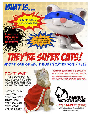 APL- Final Super Cats Flyer (4).jpg