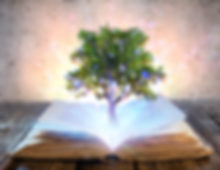 Lectura de tus registros akashicos, lectura de tu libro de la vida