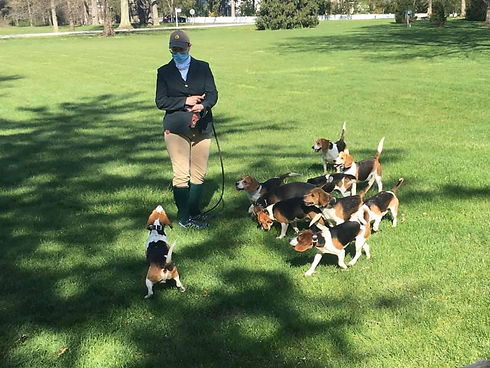 KarenBeaglesMask.jpg