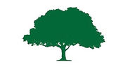 Hampshire Green Oak