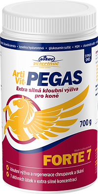 3D_ArtiVit_PEGAS_FORTE_7_310x140mm_700g.