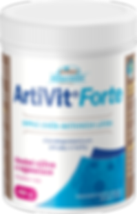 3D ArtiVit-Forte 400g etiketa.png