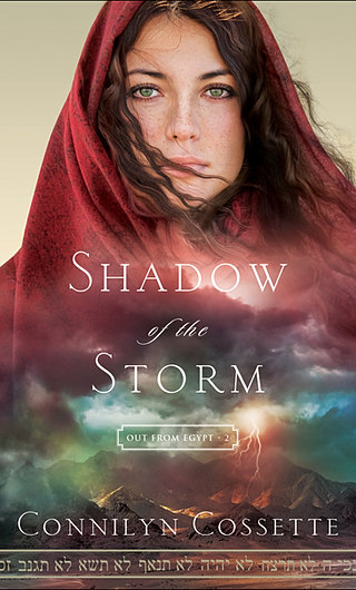 Image result for shadow of the storm connilyn cossette