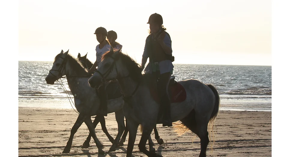 promenade cheval knokke
