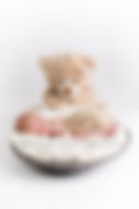 Newborn and teddy basket professional baby photos cheltenham, Gloucestershire