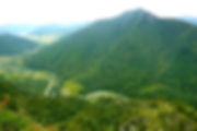Image 12.jpg