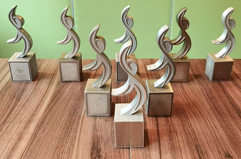 STEC Won Eight WSH Awards 2021 Trophies