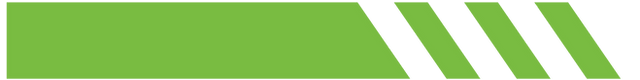 AE Web Divider.png
