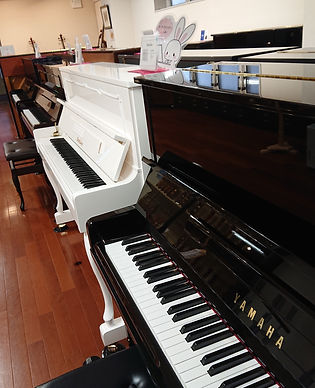 2F (2).JPG