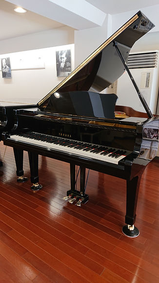 YAMAHA G1B (2).JPG