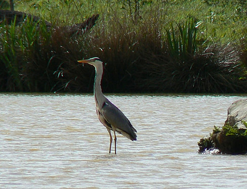 Beautiful photography of leek and moorlands at work here
