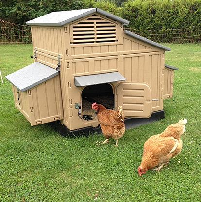 The Clever Coop Company - Maintenance Free Plastic Chicken ...