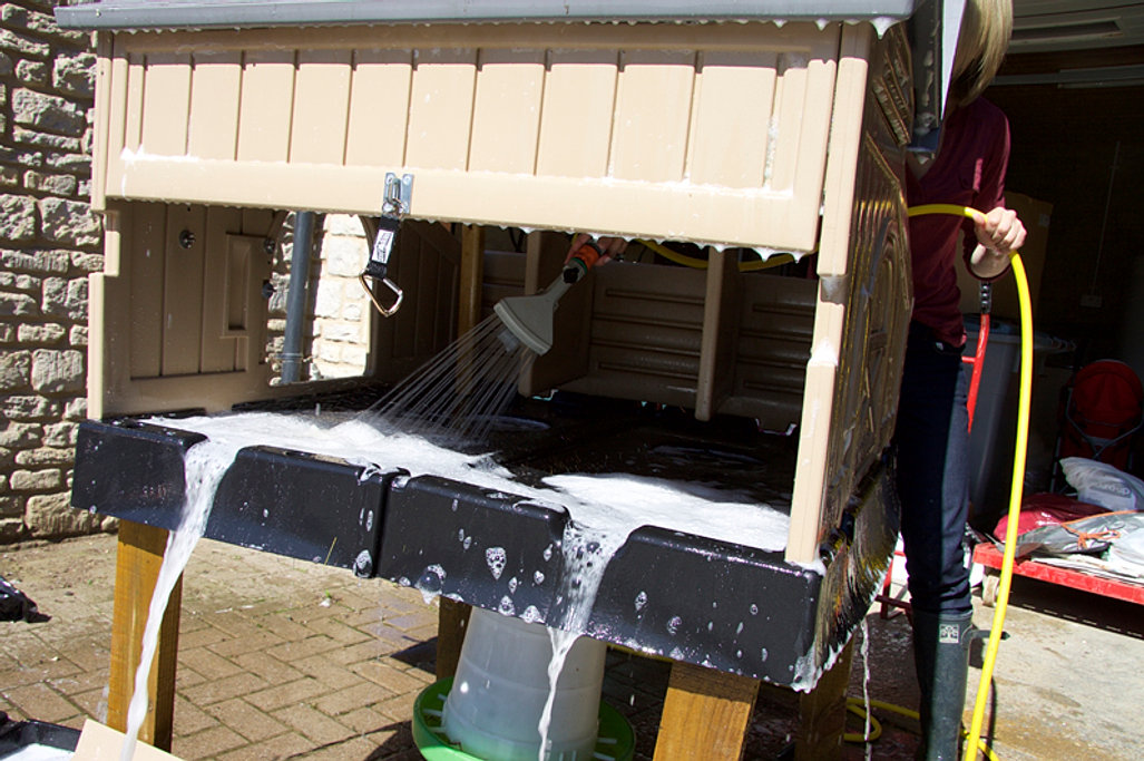 The Clever Coop Company