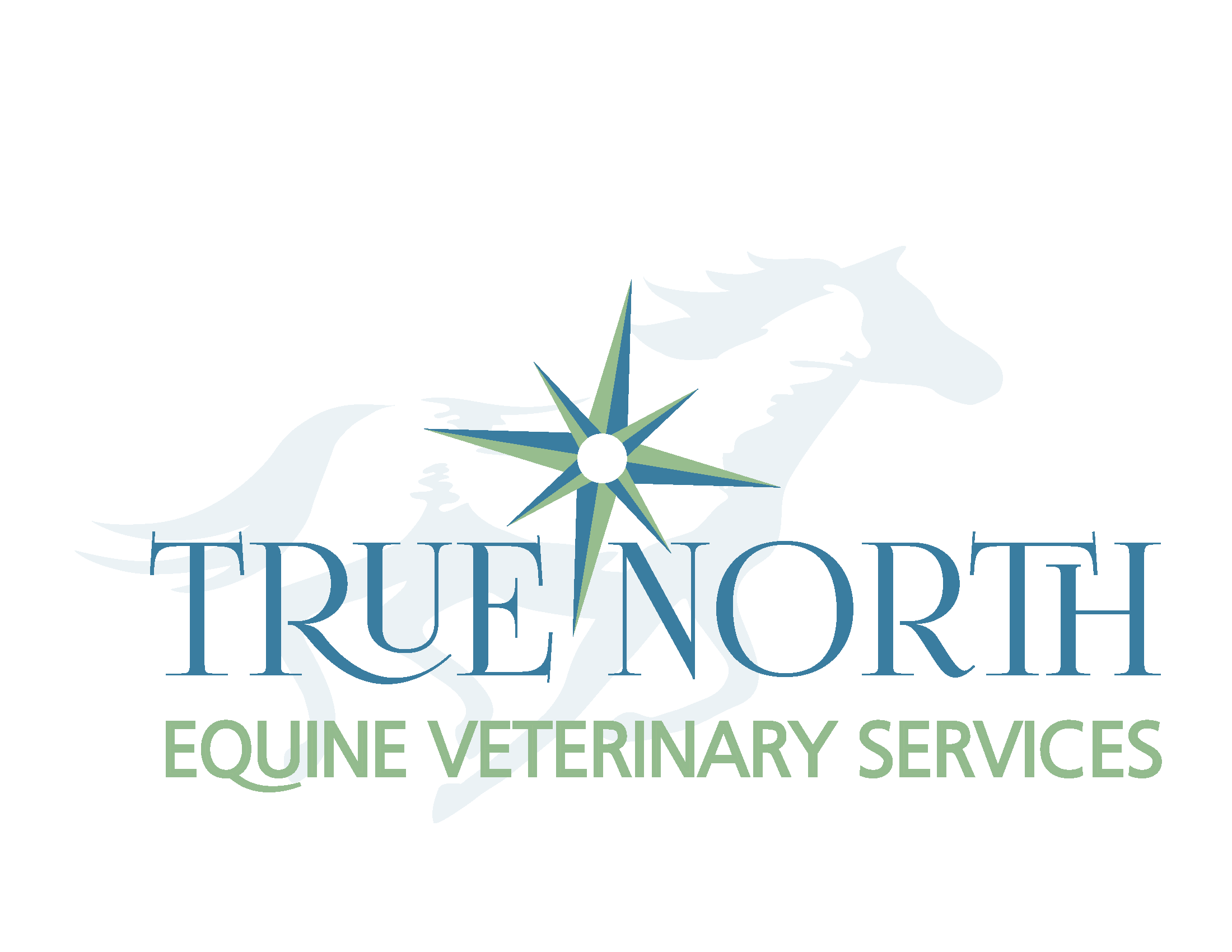 True North Equine Veterinary Services Virginia