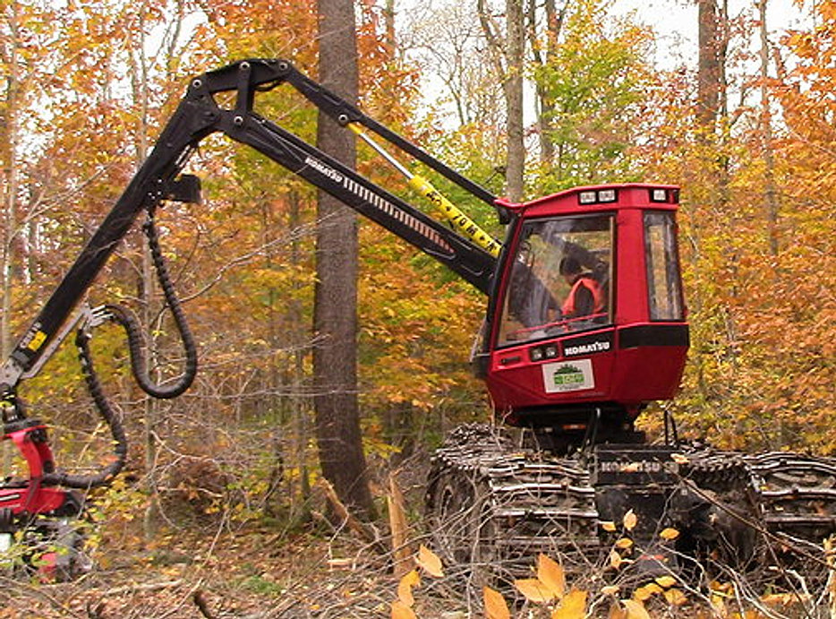 Logging Boonville CJ Logging Equipment