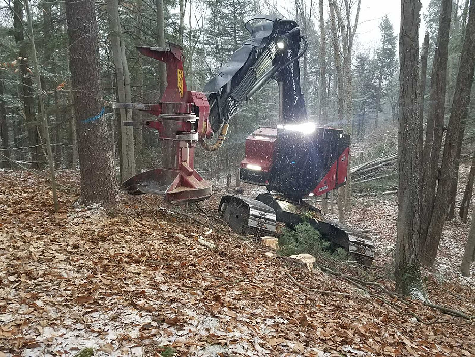 Logging Boonville CJ Logging Equipment