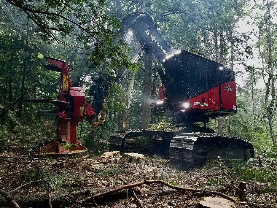 Logging Boonville CJ Logging Equipment