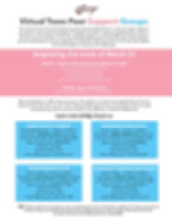 COVID19 - Virtual Trans Flyer .jpg