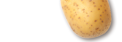 BRAMBORY.png